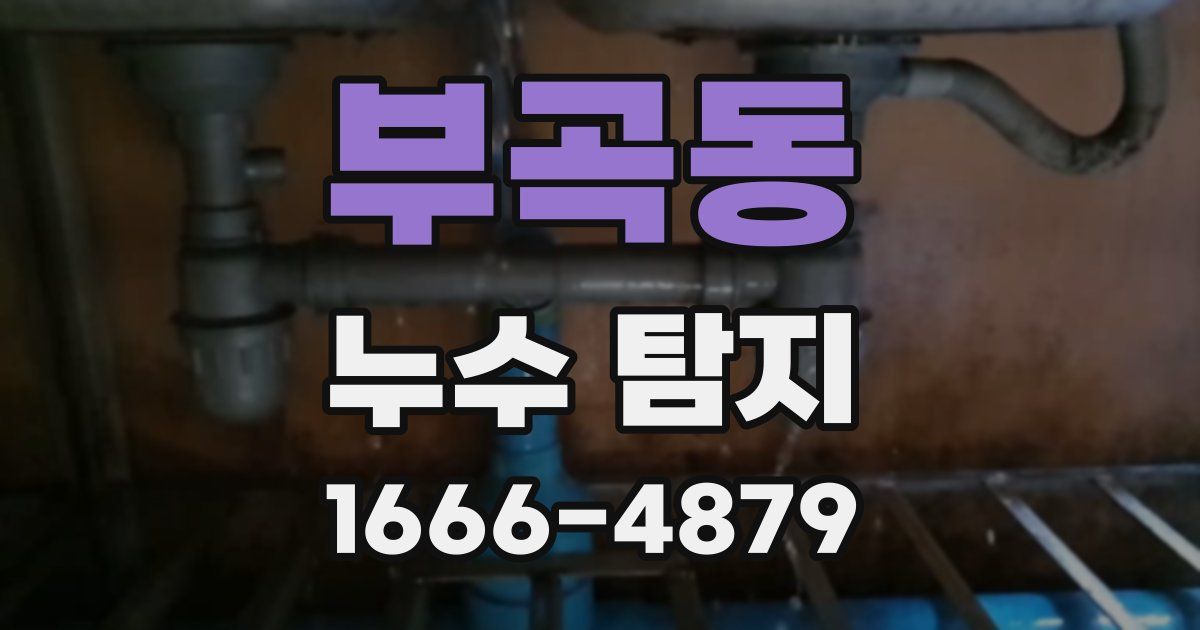 부곡동 누수 탐지