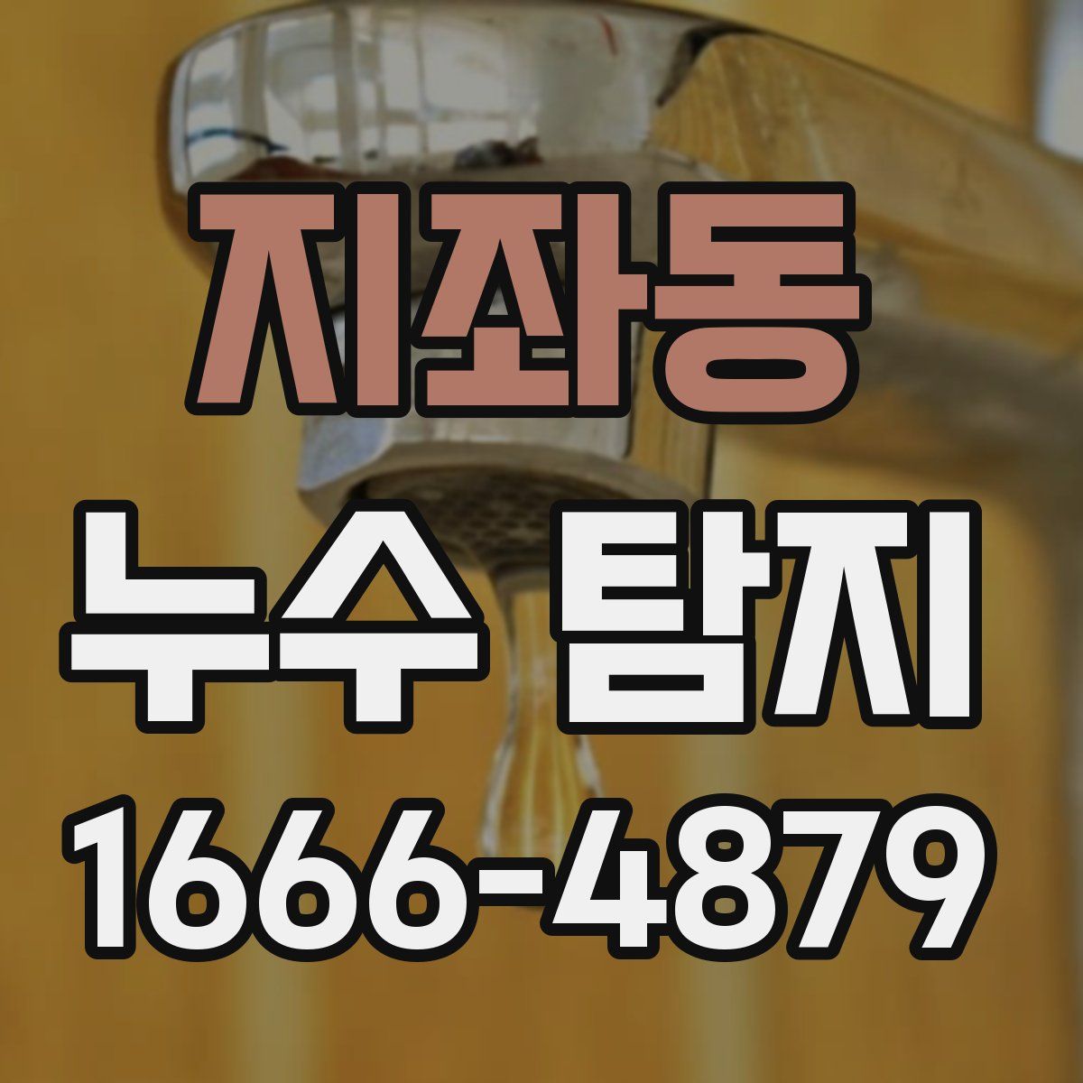 지좌동 누수 탐지