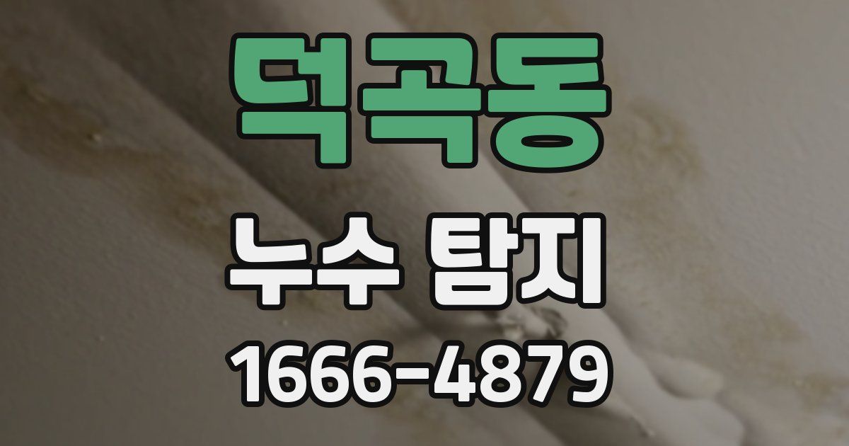 덕곡동 누수 탐지