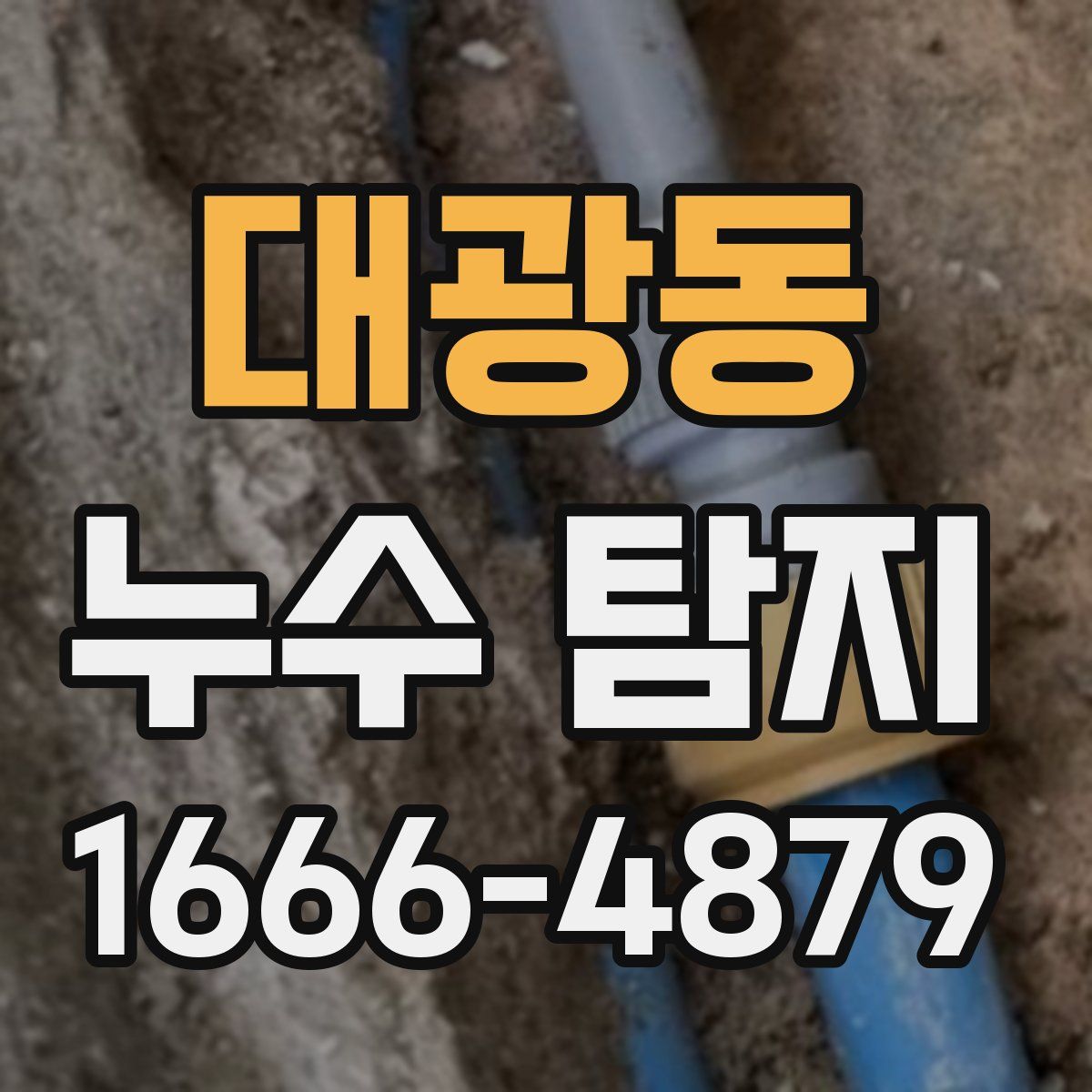 대광동 누수 탐지