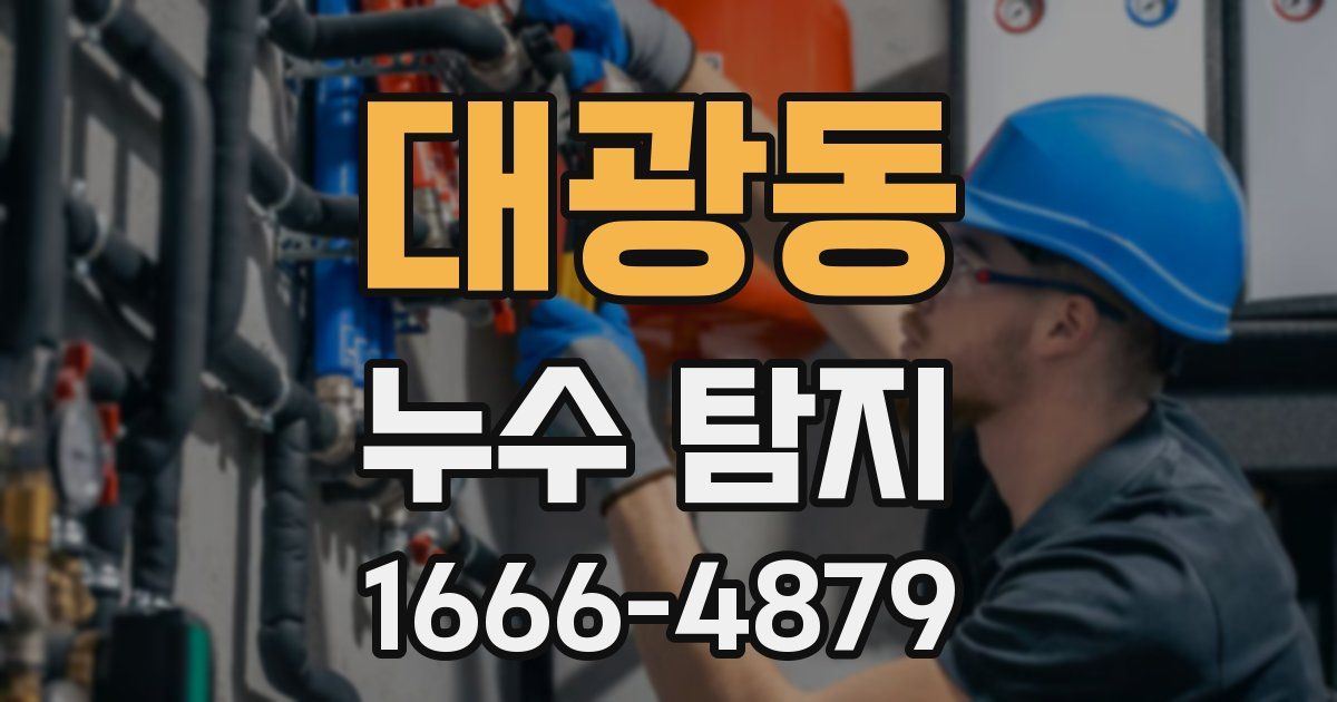 대광동 누수 탐지