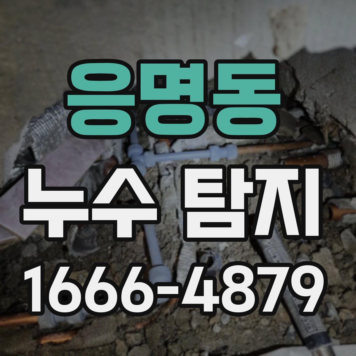 응명동 누수 탐지