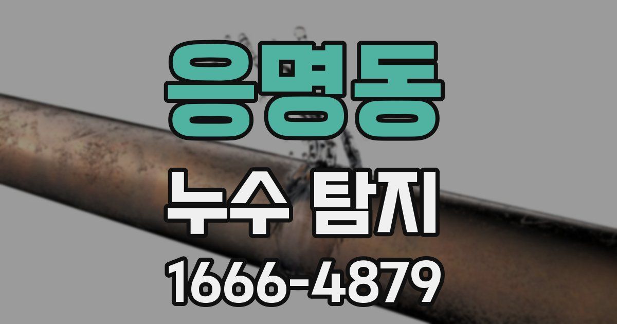 응명동 누수 탐지