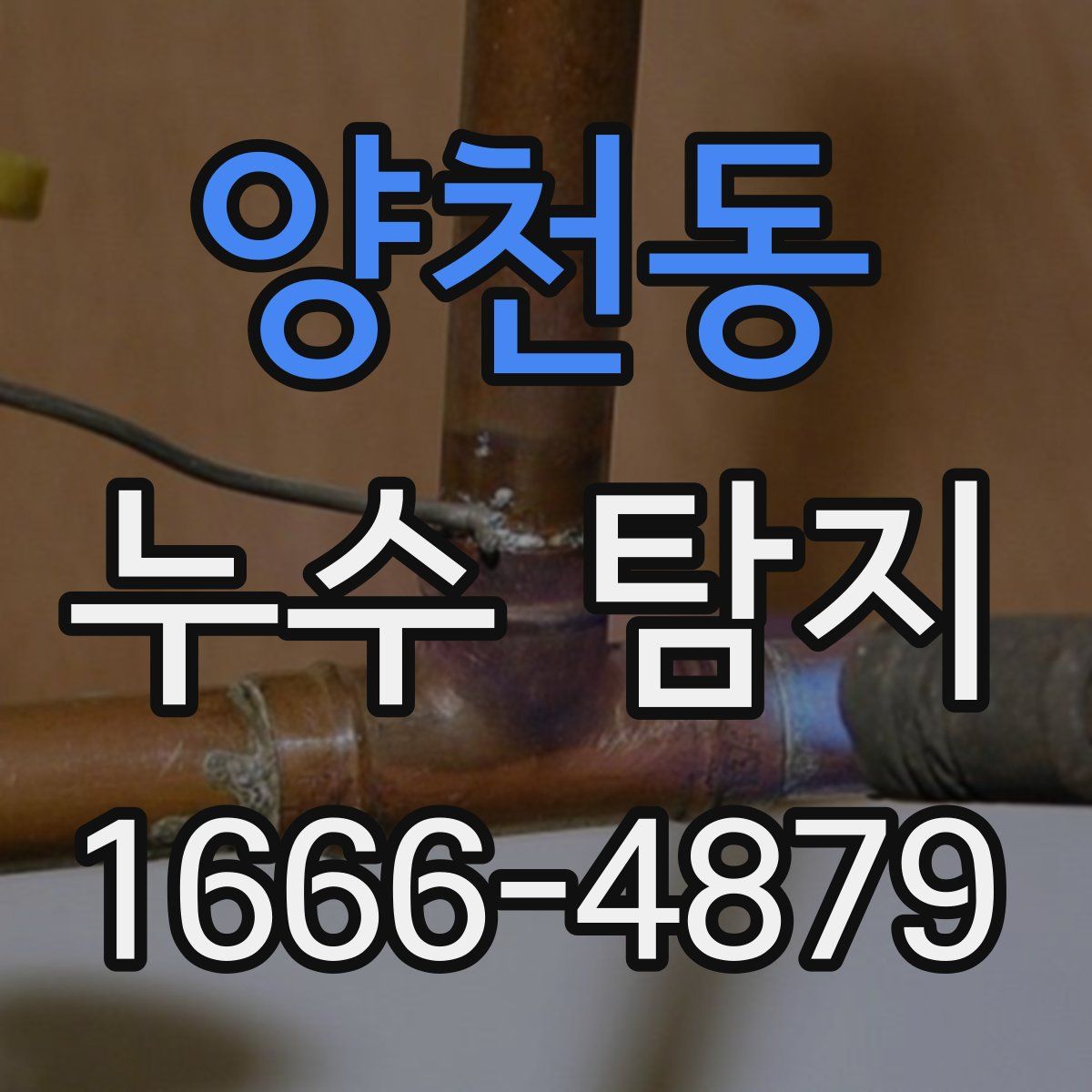 양천동 누수 탐지