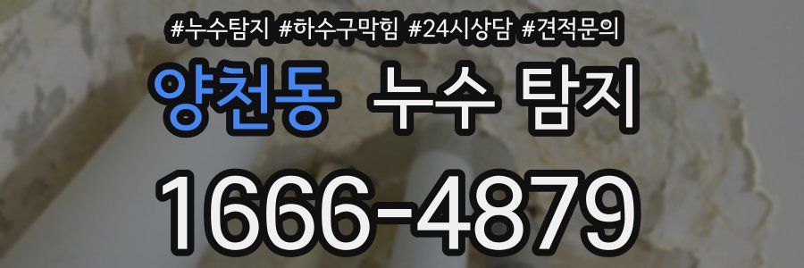 양천동 누수 탐지