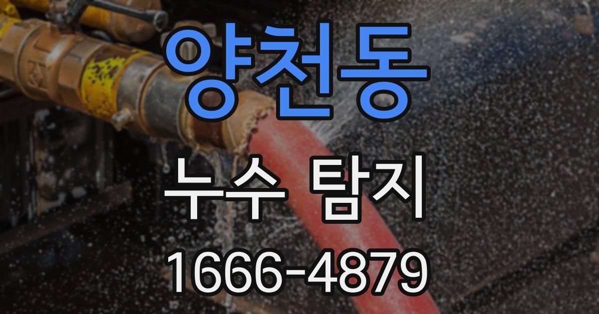양천동 누수 탐지