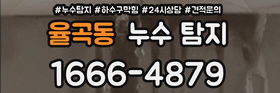 율곡동 누수 탐지