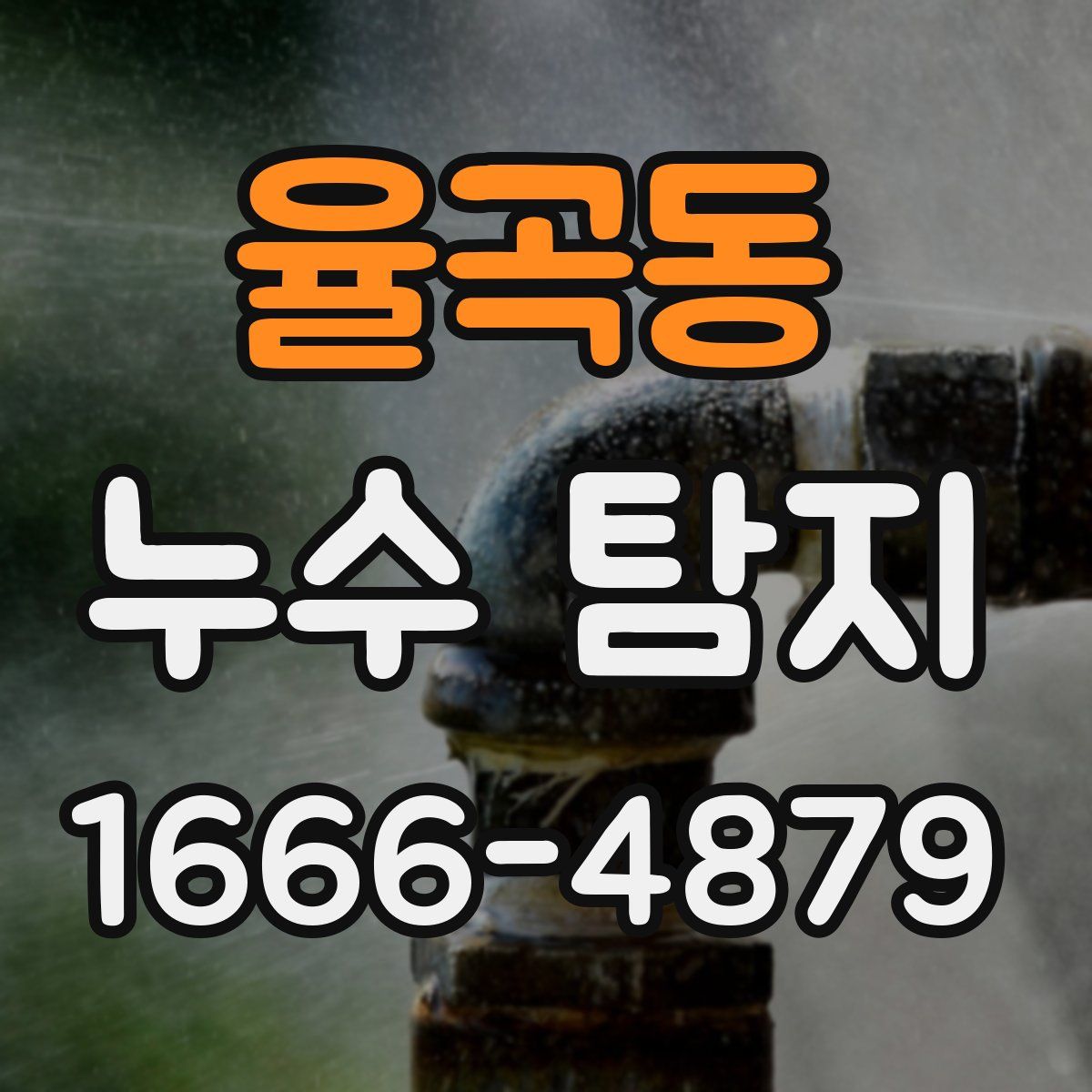 율곡동 누수 탐지