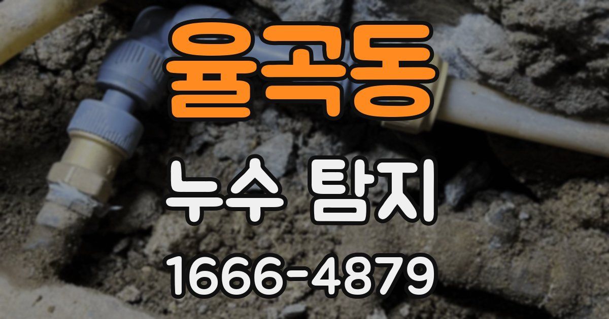 율곡동 누수 탐지