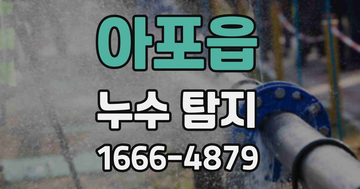 아포읍 누수 탐지