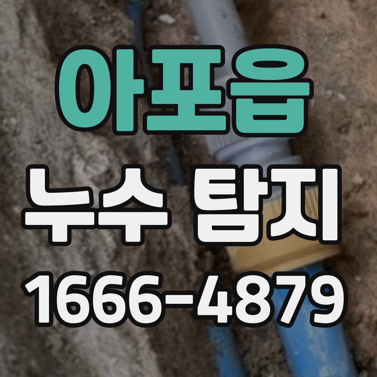 아포읍 누수 탐지