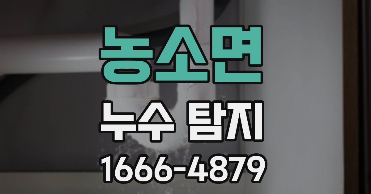 농소면 누수 탐지