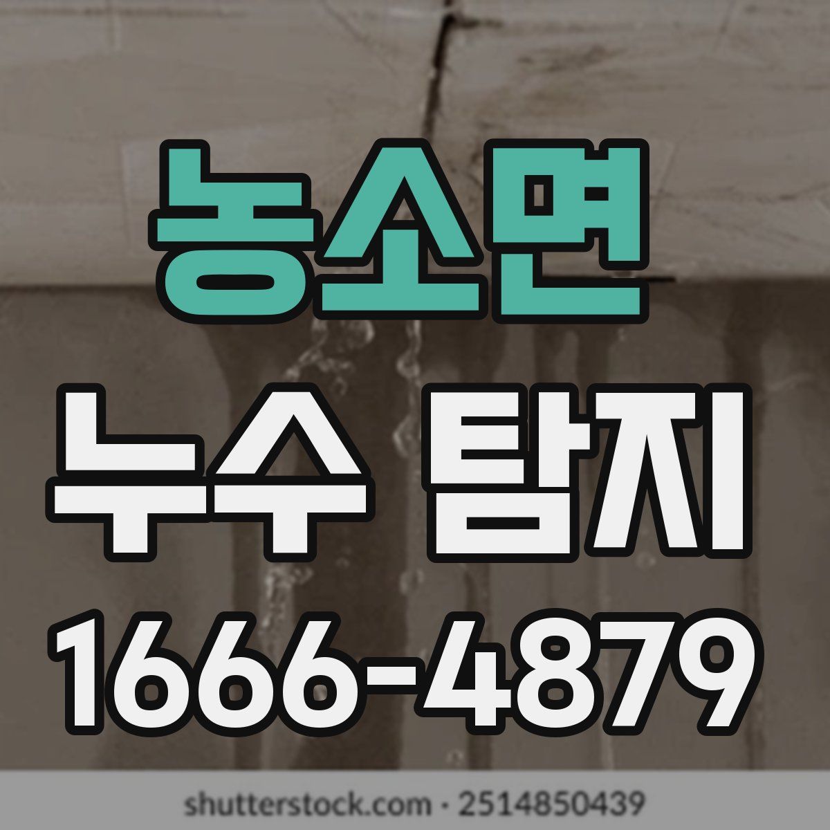 농소면 누수 탐지