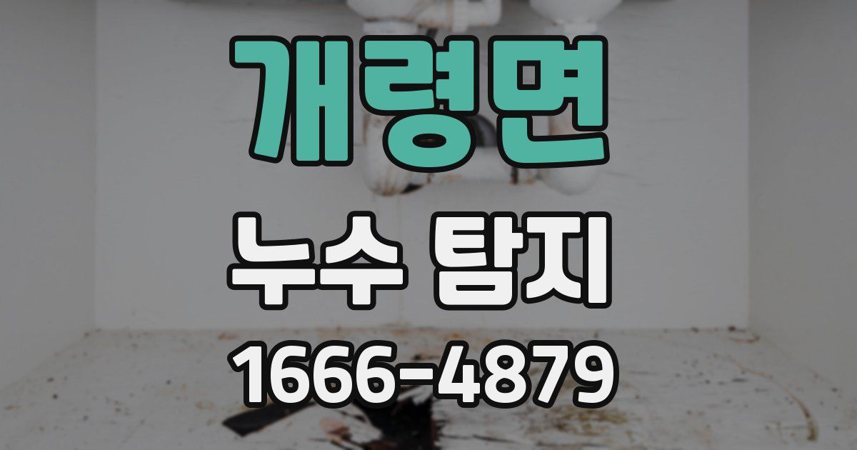 개령면 누수 탐지