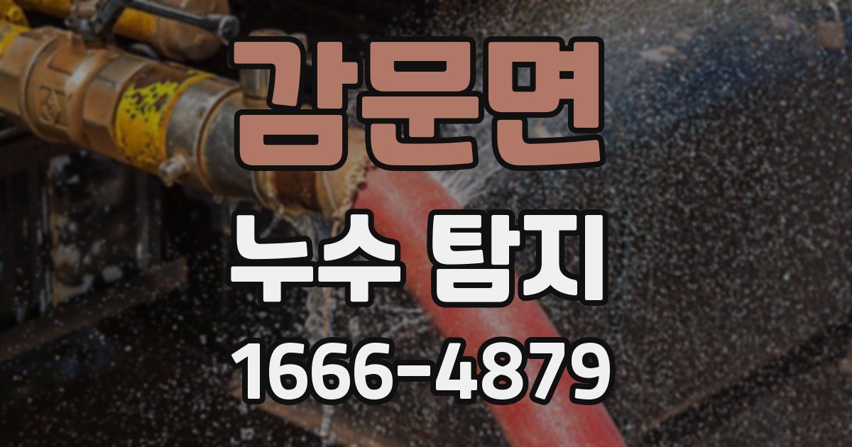 감문면 누수 탐지
