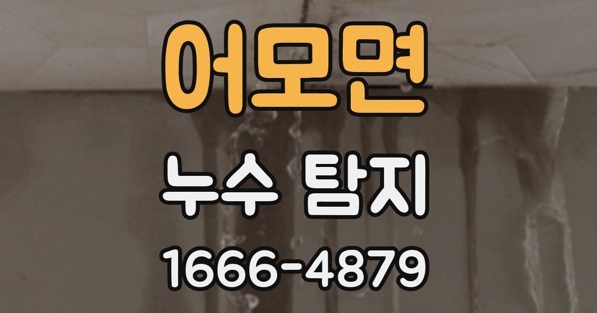 어모면 누수 탐지