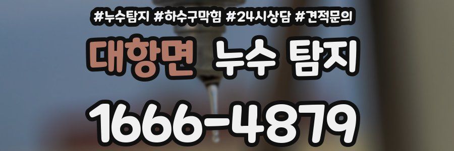 대항면 누수 탐지