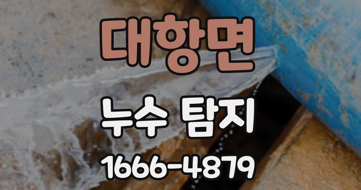 대항면 누수 탐지