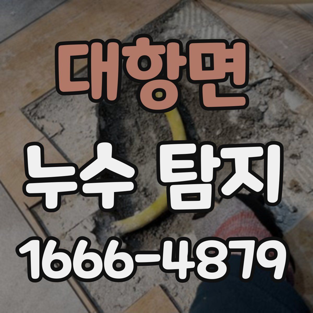 대항면 누수 탐지
