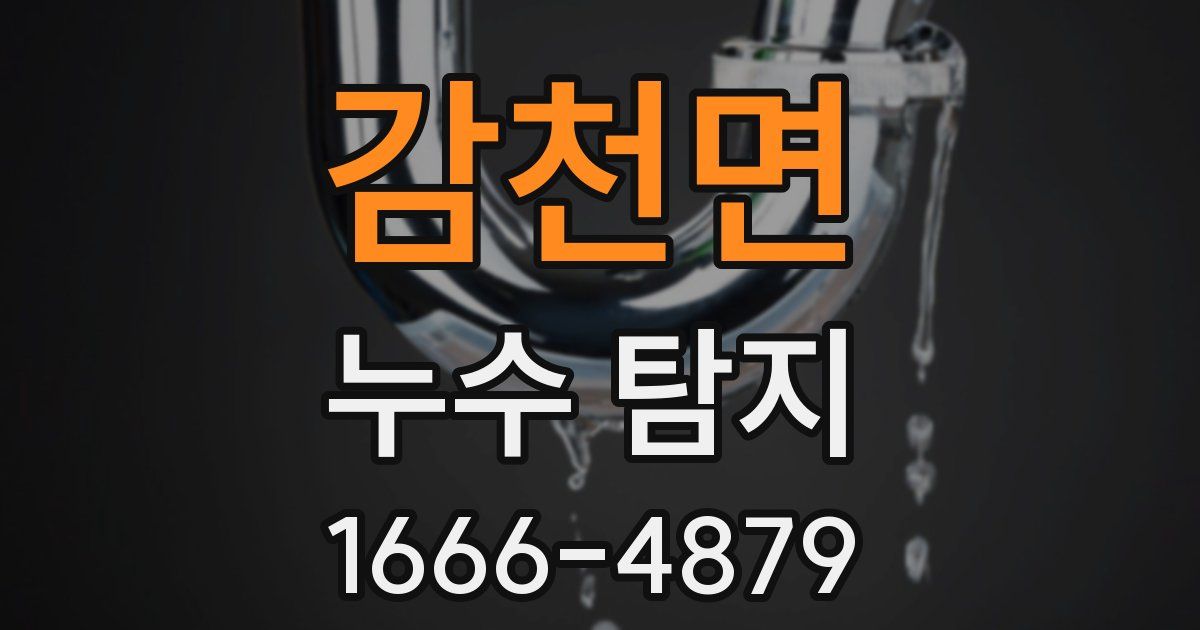 감천면 누수 탐지