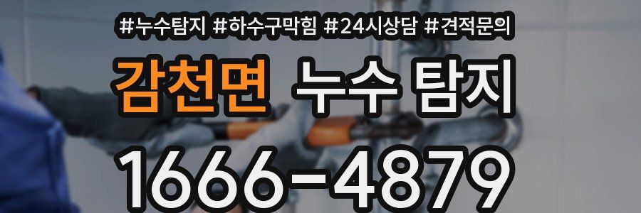감천면 누수 탐지