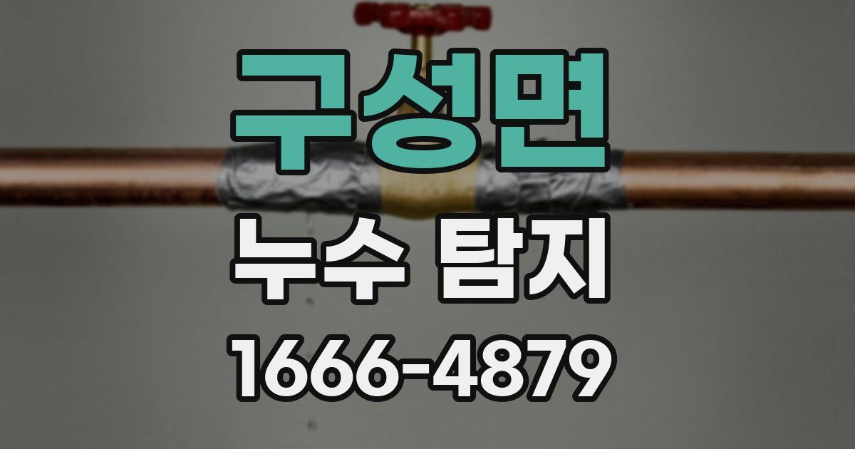 구성면 누수 탐지