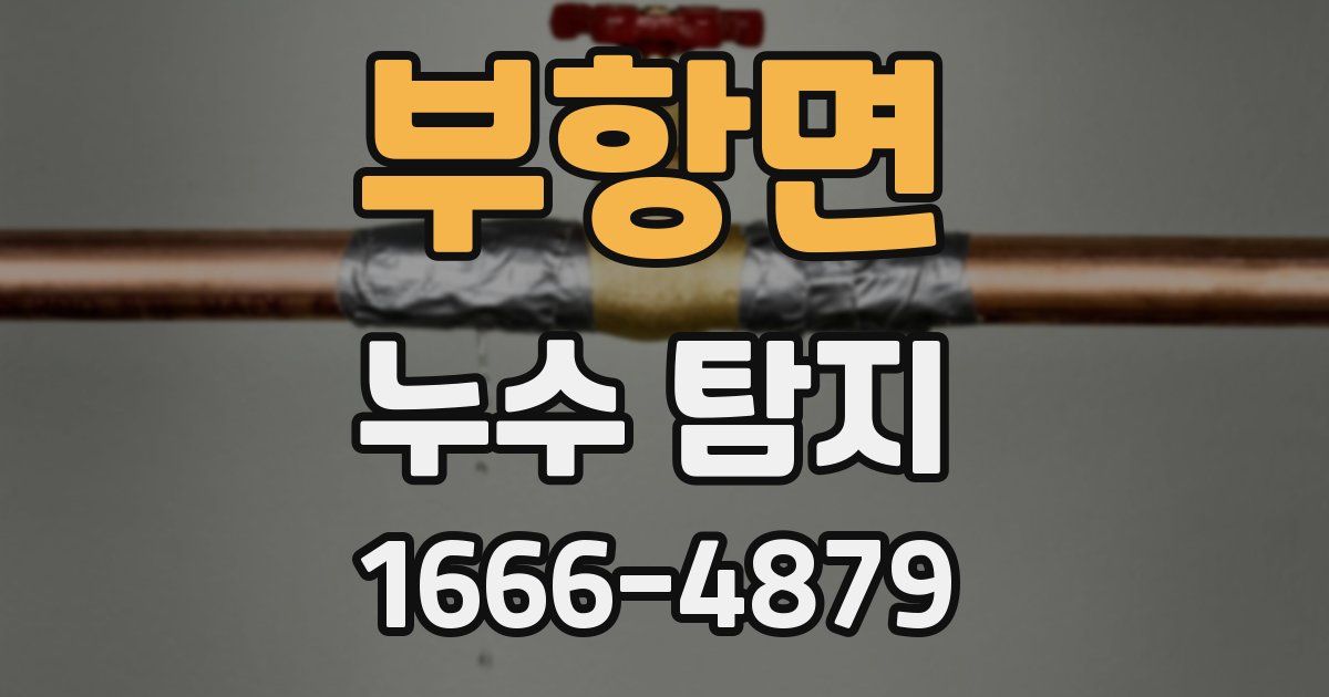 부항면 누수 탐지