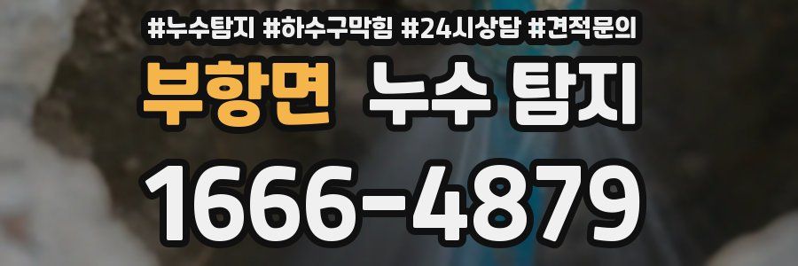 부항면 누수 탐지