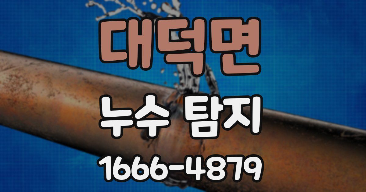 대덕면 누수 탐지