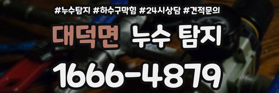 대덕면 누수 탐지