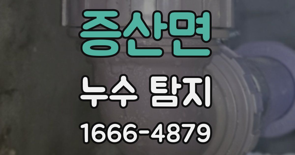 증산면 누수 탐지