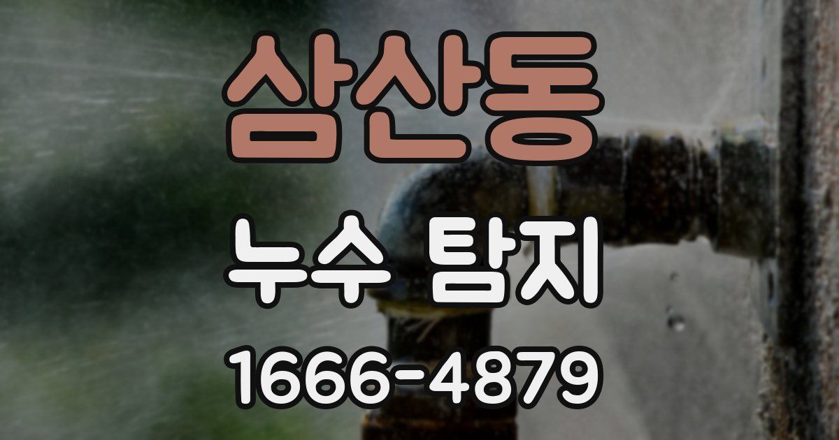 삼산동 누수 탐지