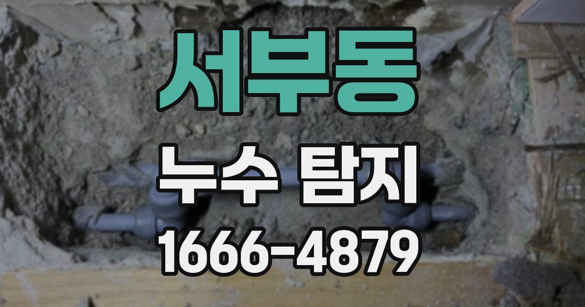서부동 누수 탐지