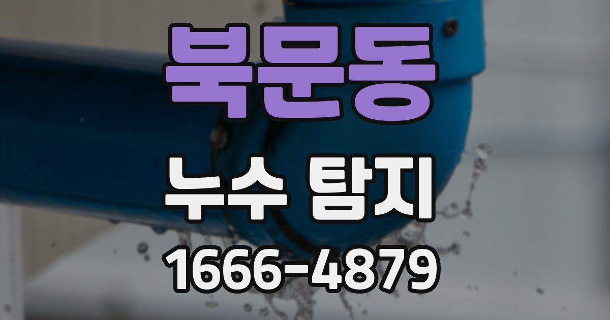 북문동 누수 탐지