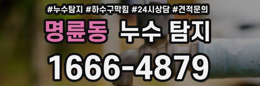 명륜동 누수 탐지