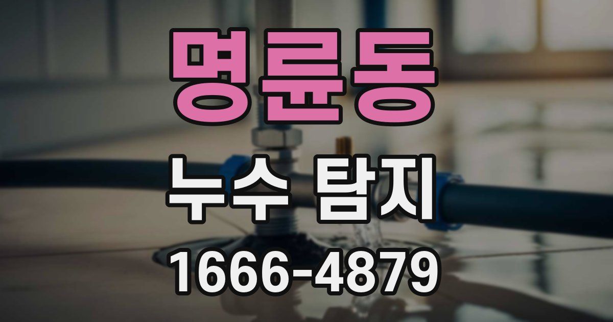 명륜동 누수 탐지