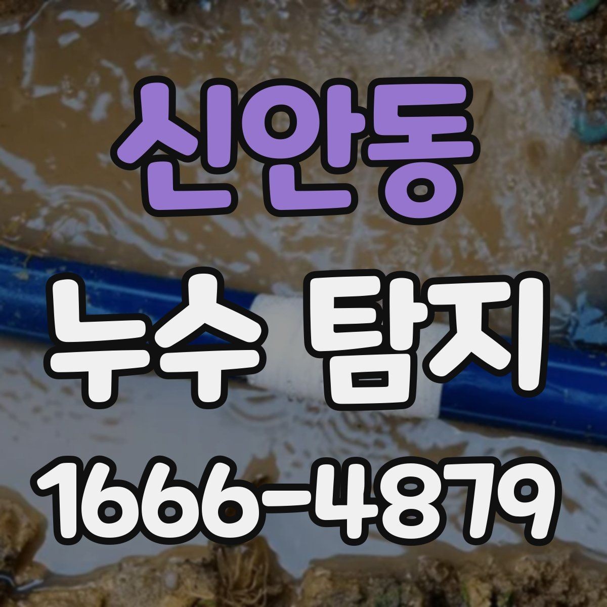 신안동 누수 탐지 결과를 확인하는 방법