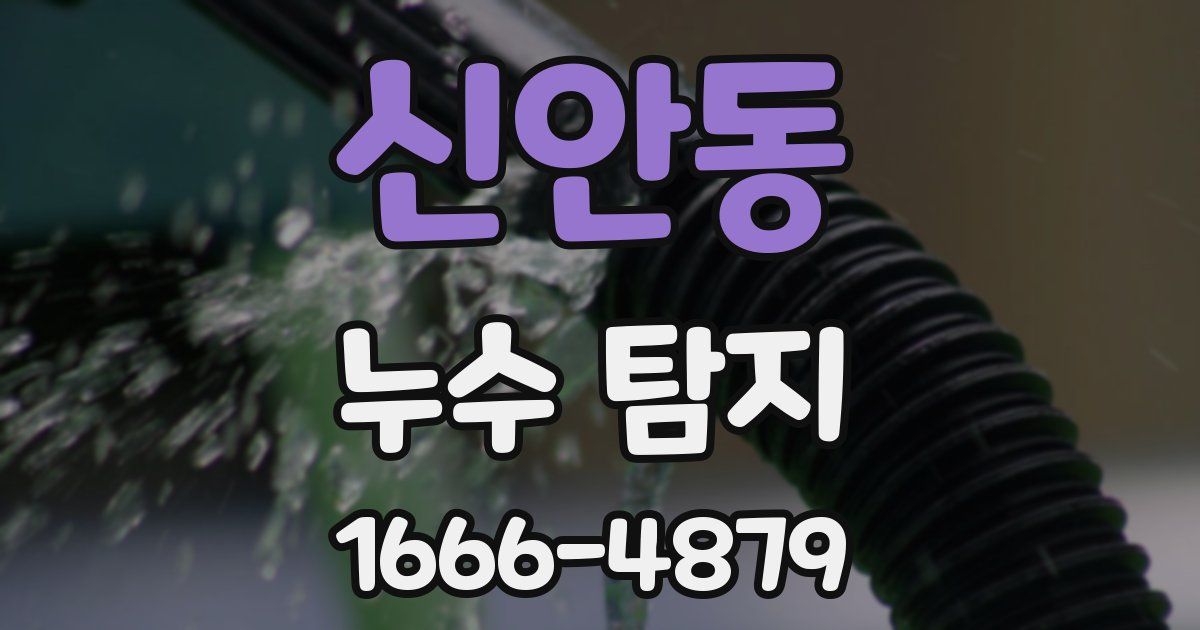 신안동 누수 탐지