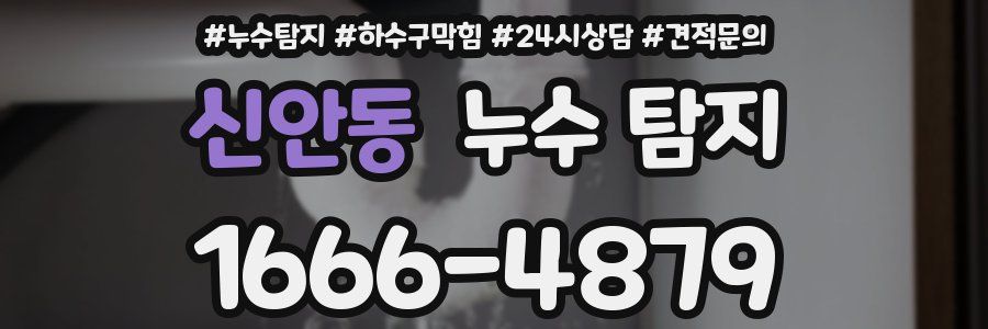 신안동 누수 탐지