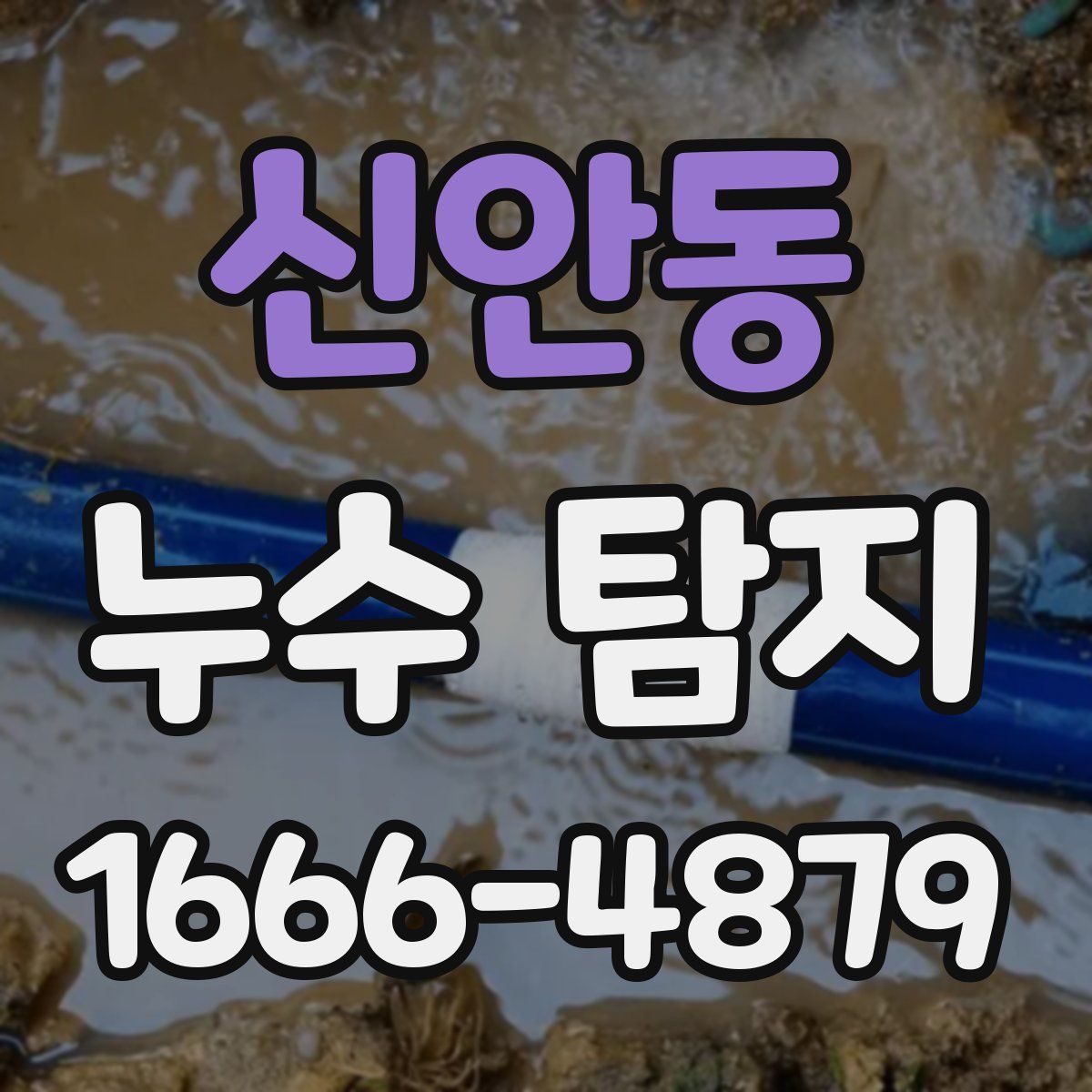 신안동 누수 탐지