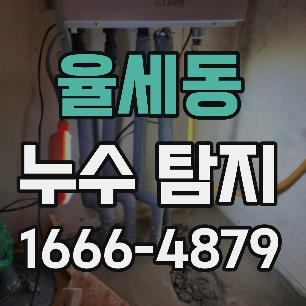 율세동 누수 탐지