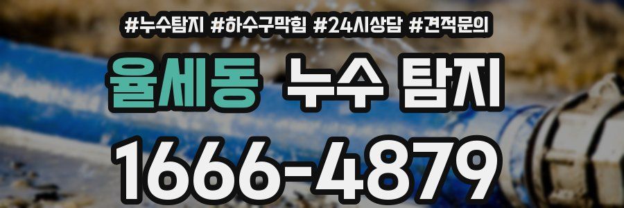 율세동 누수 탐지