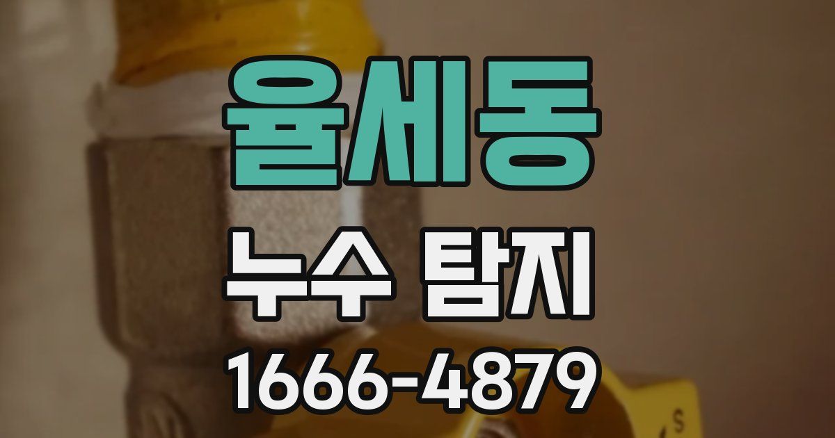 율세동 누수 탐지