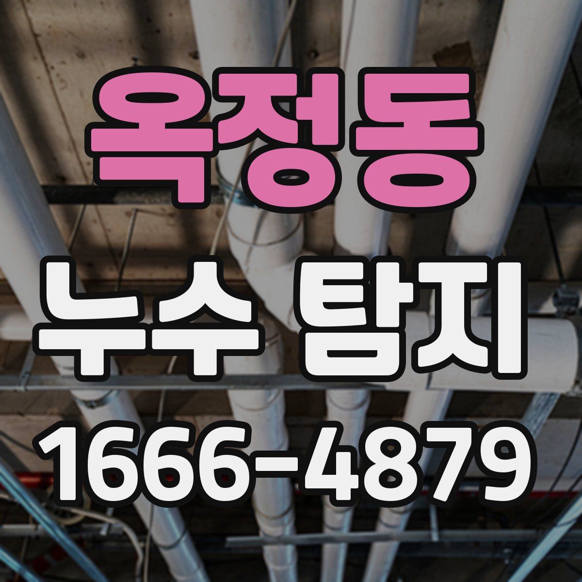 옥정동 누수 탐지