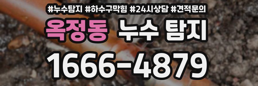 옥정동 누수 탐지