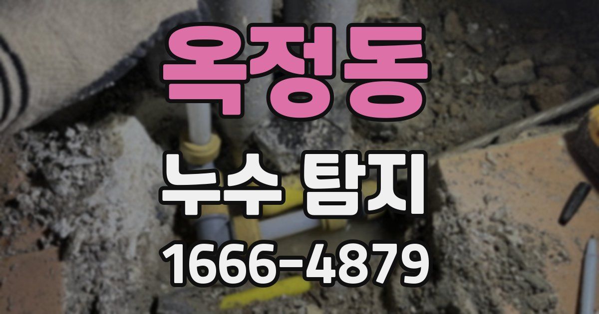 옥정동 누수 탐지