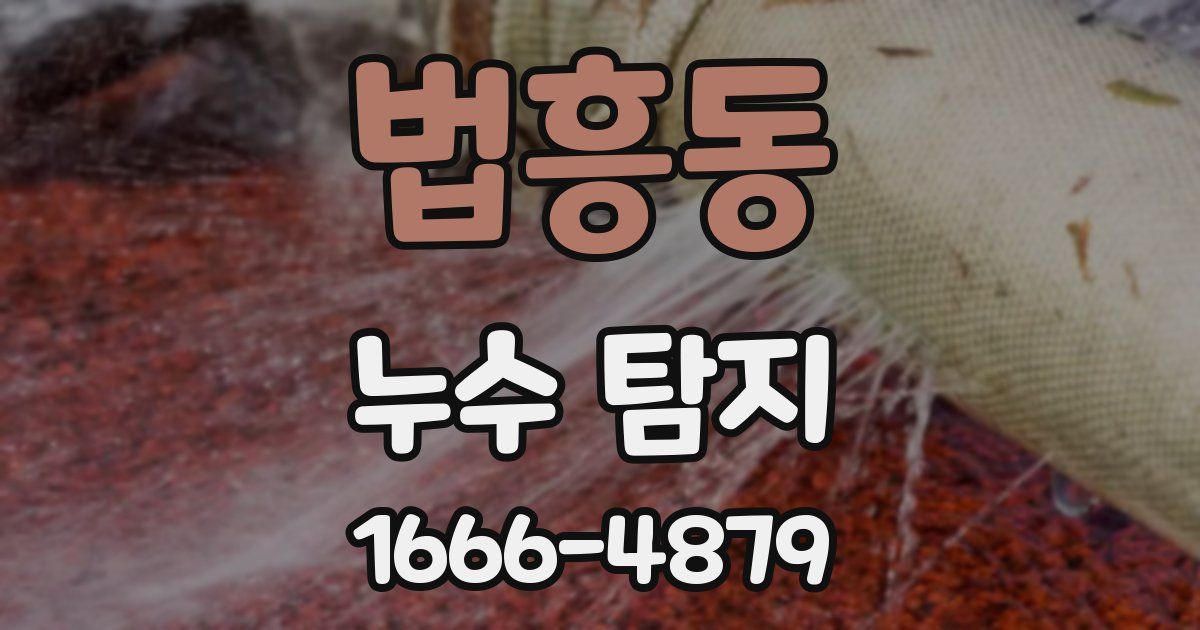 법흥동 누수 탐지