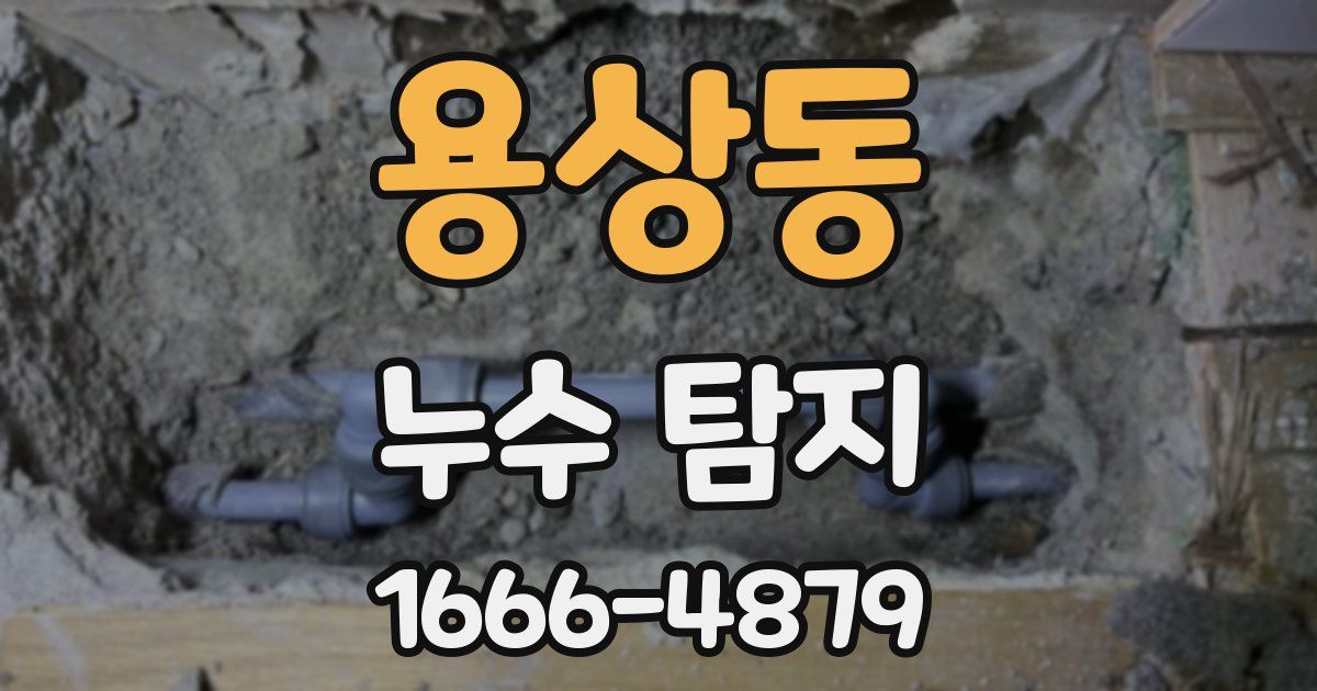 용상동 누수 탐지