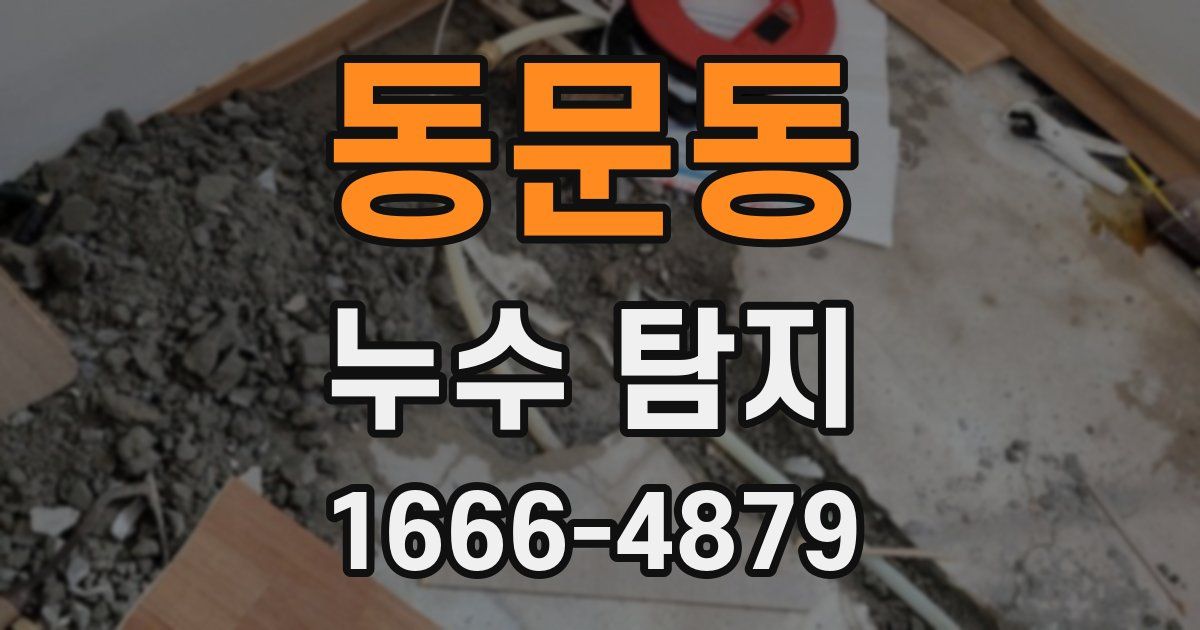 동문동 누수 탐지