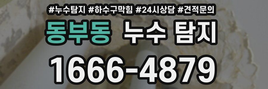 동부동 누수 탐지